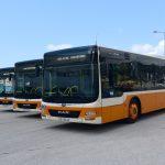 libertas006
