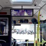 libertas037