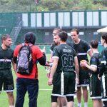 sharks11