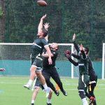 sharks12