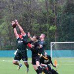 sharks17