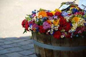 summer flowers 376764 1920
