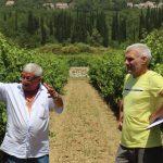 002 20210628agroturizam gledam svoje konavle