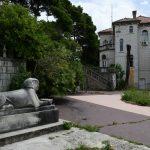 cingrija smece 1