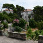 cingrija smece 2