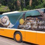 malostonska kamenica autobus libertas