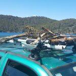 mljet ciscenje podmorja 1