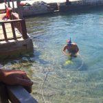 mljet ciscenje podmorja 4