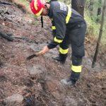 pozar bracevo orasac 2
