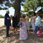 viskovic knjiga gorica 14