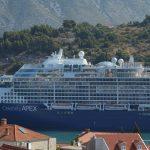 cruiser celebrity apex 2