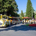 maro saulovic gulliver 6
