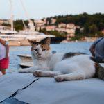 cavtat22