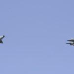 dan je pobjede i domovinske zahvalnosti dan hrvatskih branitelja i 26 obljetnica vojno redarstvene operacije oluja 51359390354 o