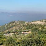 kolona brsecine zali