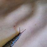 prevere centar za mlade izlozba wombs 5
