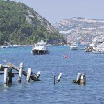 vezovi rijeka dubrovacka027