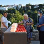 004mala gospa milosrdja