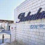 belvedere 13