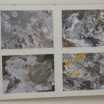 izlozba konavoski lisajevi 3