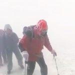 rajcevic ararat 8