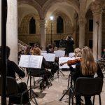 dso jesenji glazbeni moskar finale novakovic 8