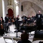 grazio dso 6