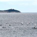 regata optimisti jedrenje017