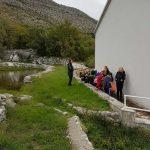 rijecna kornjaca radionica 5