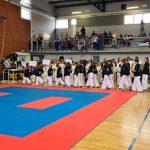 taekwondo klub Shark 3