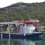 Malostonska kamenica 26