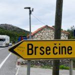 brsecine35