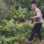cijepanje drva humanitarna organizacija cavtat 4