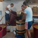 cvijeto stjepovic sabatina3