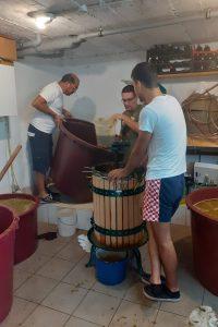 cvijeto stjepovic sabatina3