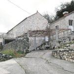 cepikuce 2