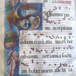 mala braca Gradual H