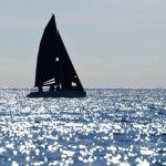 regata002
