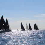 regata019