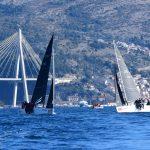 regata029