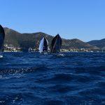 regata044