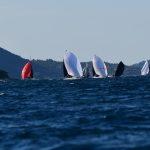 regata061