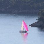 Regata svetog Vlaha JK Orsan 1
