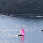 Regata svetog Vlaha JK Orsan 3