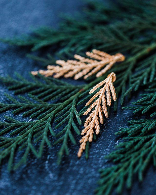 farac jewelry cypress leaf vermeil earrings1 IG