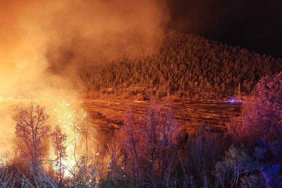 pozar rezervat orepak kula norinska