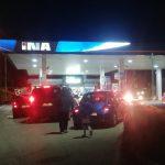 ina guzve gorivo 10