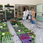 mediteranski sajam 24032022 4