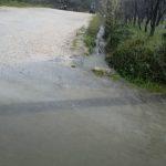 poplava konavle ljuta3