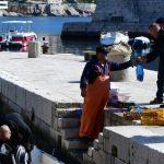 ribar23
